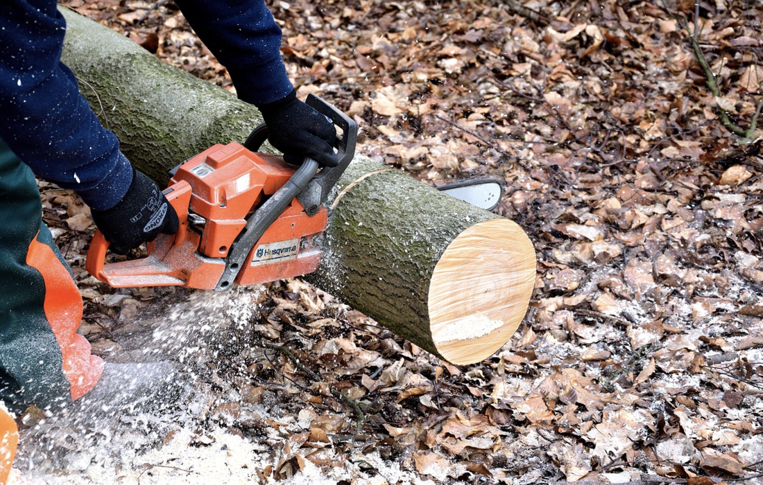 This is a picture of someone with a chainsaw, sawing through a tree stump