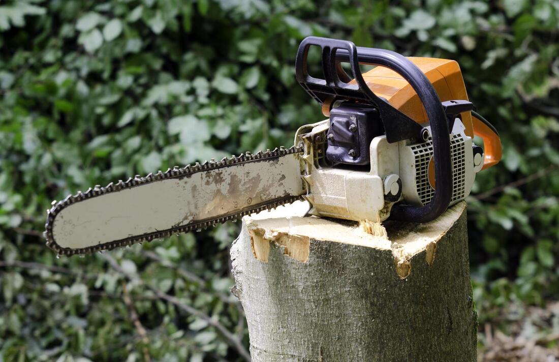 this image shows equipment for tree cutting
